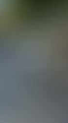 ¡Se le subieron las copas… y el coche al camellón! Termina volcada en Palmas 1