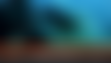 Mujer alimenta con su mano a un grupo de tiburones; increíble momento se hace viral