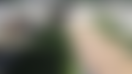 Nueva Amenaza de Tiroteo, Ahora en una Escuela de Ciudad Caucel