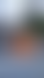 Investigaciones en Curso tras el Atroz Asesinato del Alcalde de Chilpancingo