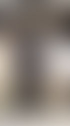 Playa del Carmen fortalece alianza estratégica con Finlandia y Dinamarca