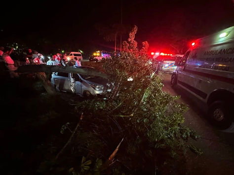 Pareja se estrella contra un árbol y provoca intensa movilización en Playa del Carmen