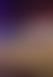 Frutería se convierte en escena del crimen; víctima fue ejecutada