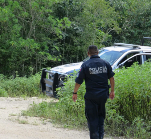 Terror en Cancún: Perros callejeros sacan restos humanos de un costal en la colonia Avante