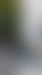 Hombre es arrestado tras intento de abuso y robo de joven universitaria en Cancún