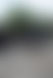 Sujetos armados irrumpen en taller mecánico y huyen con auto robado