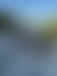 Mujer en motoneta es impactada por colectivo en la carretera Tulum–Carrillo Puerto