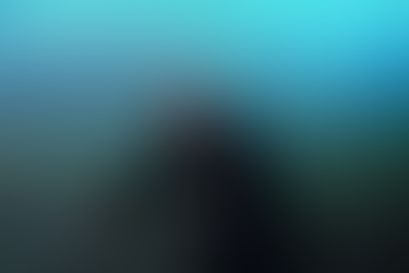 AMLO: si se mantiene bloqueos, no habrá Tren Maya de Xpujil a Chetumal