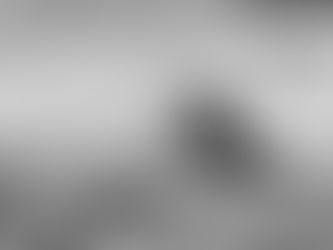 Ataque mortal en Paraíso Maya: mujer ejecuta a policía