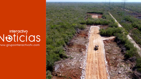 Juez da suspensión definitiva contra obras del Tren Maya en tramo Playa del Carmen-Tulum