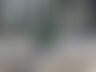 Ejecutan a policía municipal frente a primaria en Cancún; detienen a “La Güera Sicaria” como presunta responsable