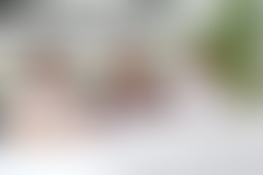 Gobierno de Playa del Carmen fortalece la ética y la transparencia con la creación del COEPCI