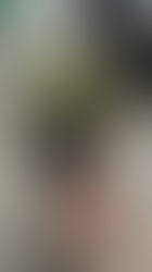 Gobierno de Estefanía Mercado despliega brigadas de apoyo ante las intensas lluvias en Playa del Carmen