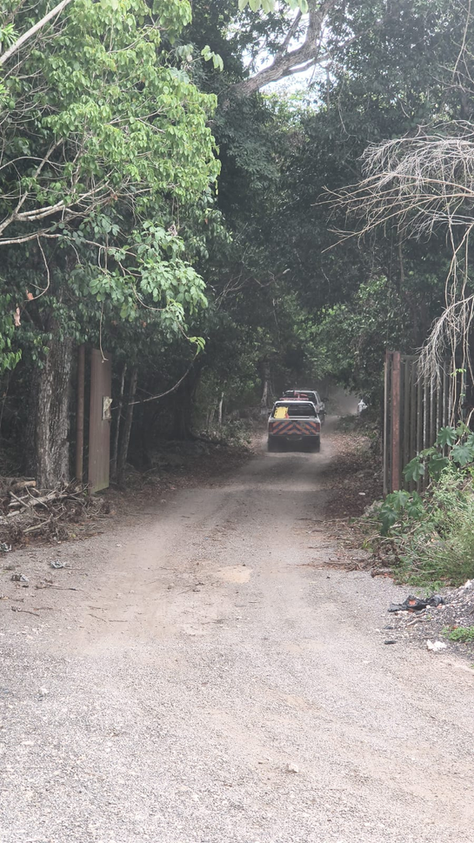 Fatal caída: encuentran muerto a presunto velador dentro de un cenote en Playa del Carmen