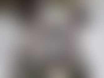 Ataque de perro causa la muerte a menor de dos años