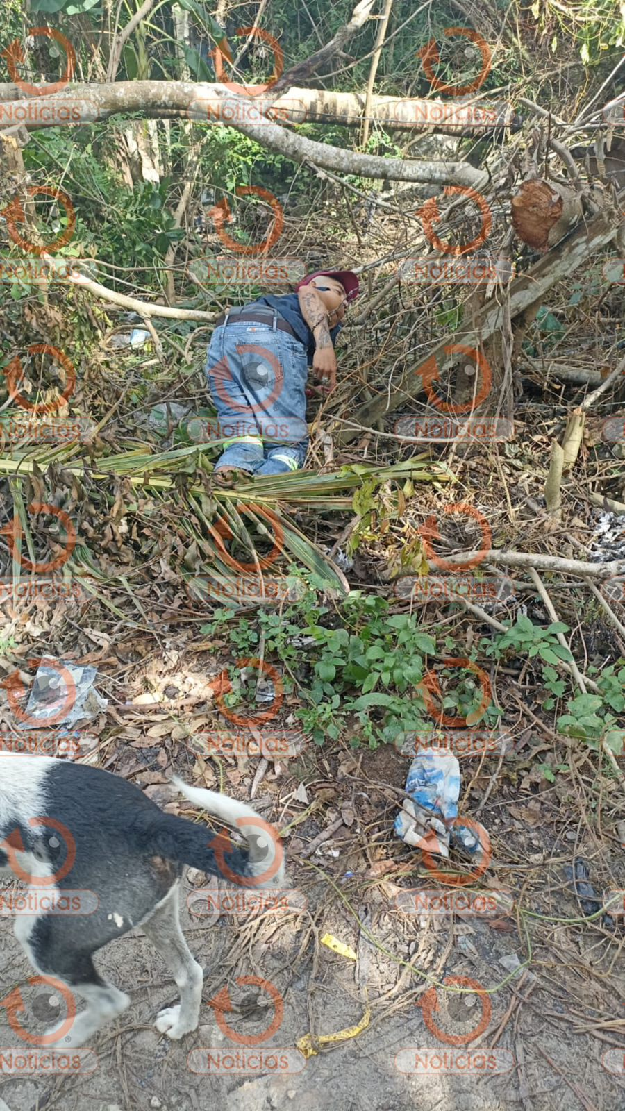 Foto: Nicolas Noticias