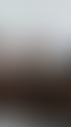 Tulum se alista para la tercera edición del Festival de la Cerveza