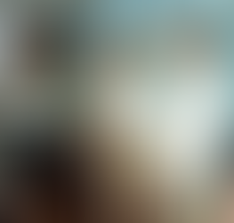 Lili Campos presente en la Instalación del Comité de Protección Civil estatal