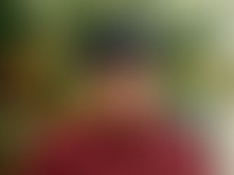 Gobierno de Estefanía Mercado convierte a Playa del Carmen en el epicentro cultural y de los mejores eventos de Quintana Roo