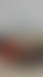 DIF Playa del Carmen fortalece la inclusión con capacitación a agentes de tránsito