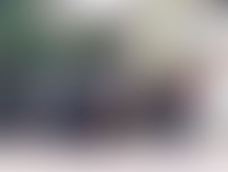 Vecinos pensaron que había un cadáver en un auto… y se trataba de vísceras de animal