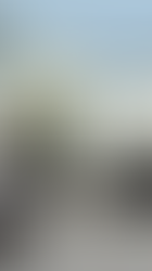 Un resbalón en el baño de su domicilio le quita la vida a una mujer en Playa del Carmen