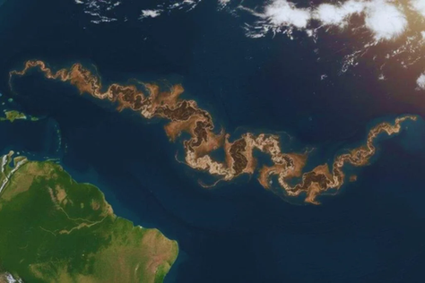 Aparece una franja marrón “continental” entre África y América: no es petróleo y el problema va en serio