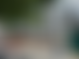 Trágico accidente en obra de construcción en la Colonia Gonzalo Guerrero: un trabajador pierde la vida tras caer desde 15 metros