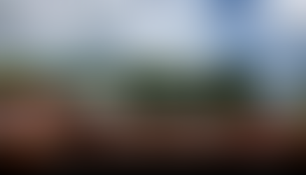 Municipios de la zona Maya y Tulum sin gasolina.