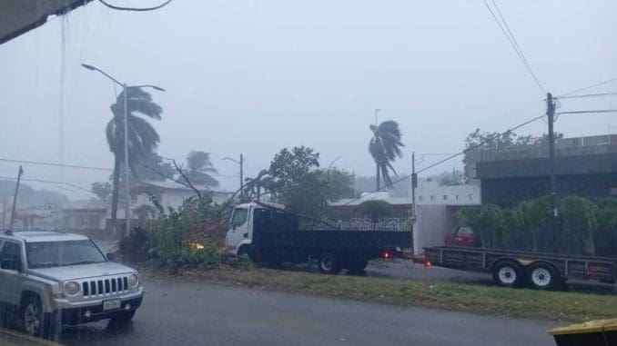 En otro punto de la ciudad, un árbol cayó sobre un camión en la avenida Carranza con calle Flores Magón, dejando al conductor atrapado entre los hierros. Afortunadamente, fue rescatado con vida y sólo presentó golpes y raspones.