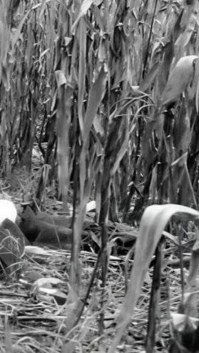 Asesinan al exalcalde panista de Chinameca; su cuerpo fue abandonado junto a una carretera