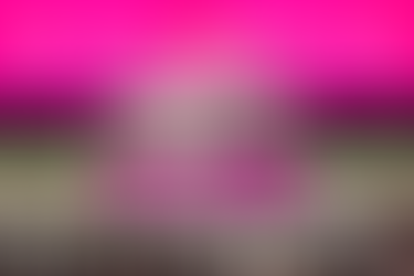 Playa del Carmen vive la mayor transformación de su historia: Estefanía Mercado