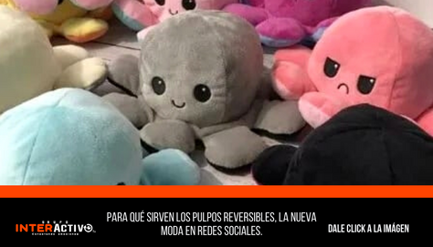Para qué sirven los pulpos reversibles, la nueva moda en redes sociales.