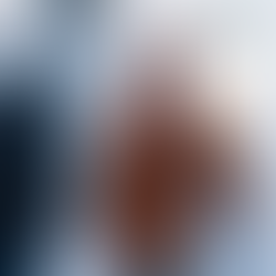 Cristina Pereyra, esposa de Genaro García Luna, se presenta como la única testigo de la defensa