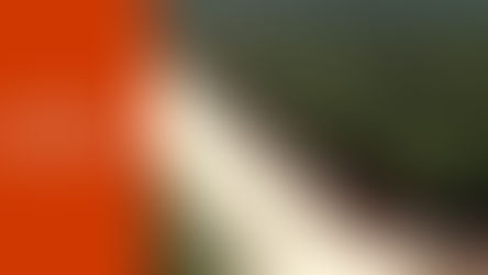 Pide COPARMEX Riviera Maya replantear nueva ruta del Tren Maya