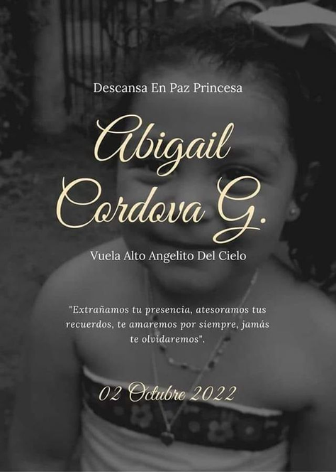Muere niña al caerle tronco de hamaca