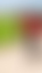 Gobierno de Estefanía Mercado hace historia: todos los campos de fútbol en Playa del Carmen ya cuentan con pasto sintético