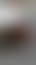 ¡Impactante! Cocodrilo ataca a lomito en plena Bahía de Chetumal