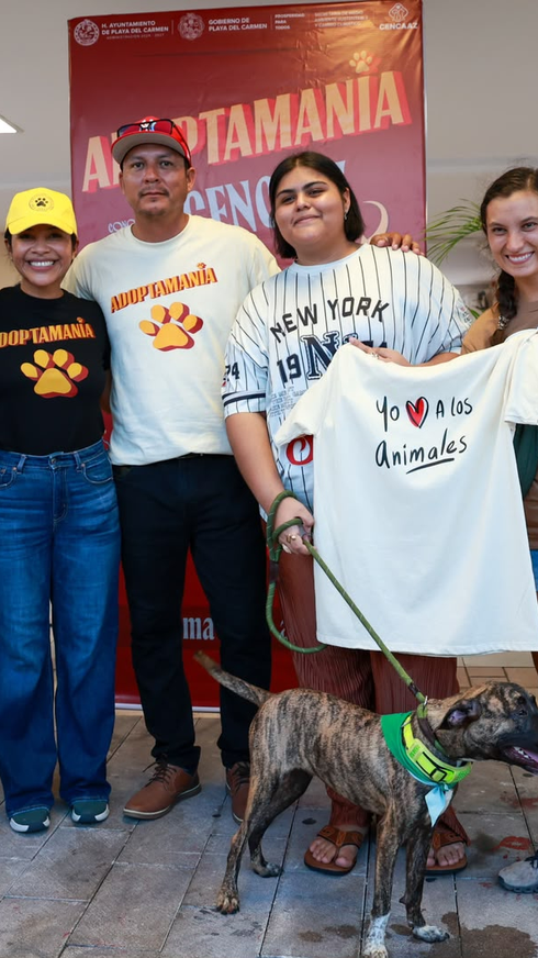 Gobierno de Playa del Carmen brinda una segunda oportunidad a perros en situación vulnerable en Playa del Carmen con “Adoptamanía"