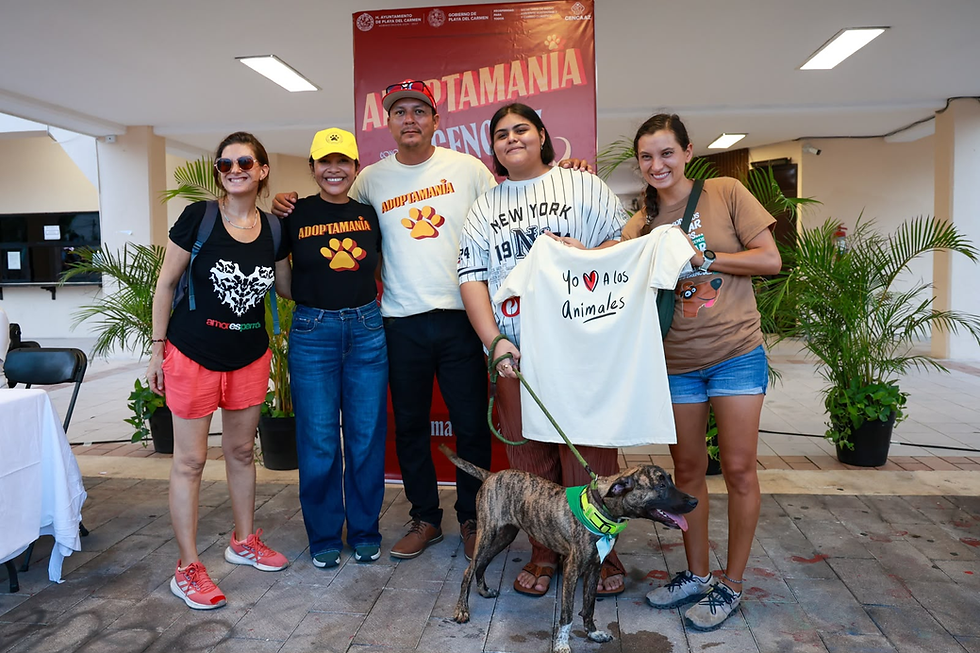 Gobierno de Playa del Carmen brinda una segunda oportunidad a perros en situación vulnerable en Playa del Carmen con “Adoptamanía"