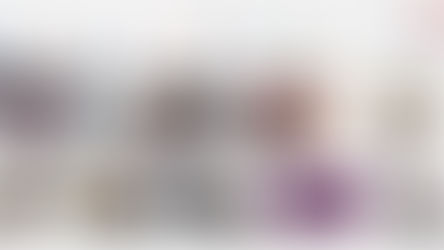 IEQROO aprueba convocatoria permanente para el reclutamiento de aspirantes a SEL y CAEL.