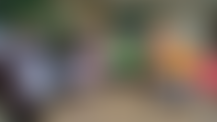 Prisión preventiva para el agresor de “Jefazo”, el perrito que murió por un ataque a machetazos.