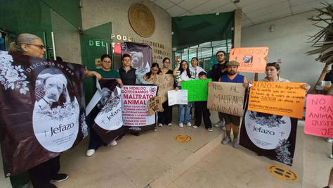 Prisión preventiva para el agresor de “Jefazo”, el perrito que murió por un ataque a machetazos.