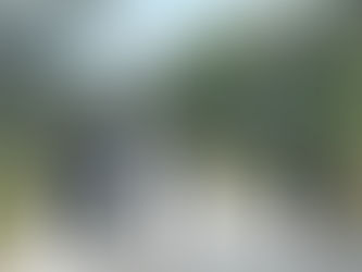 Nuevo hallazgo de cuerpo en la Región 106 de Cancún