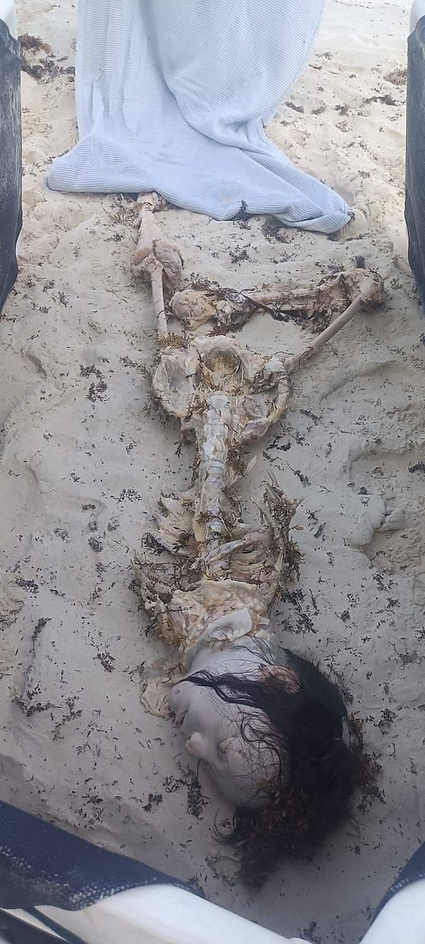 El cuerpo sin vida fue localizado esta tarde entre las playas Forum y Chacmool, en plena zona hotelera de Cancún.