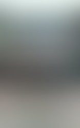 Gobierno de Estefanía Mercado decomisa 300 kilogramos de pirotecnia en Playa del Carmen