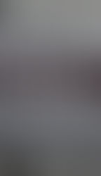 Fuerzas federales desarticulan célula criminal en la Riviera Maya