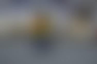 Playa del Carmen late con “Ladridos de Amor” en la 2ª Expocan 2025