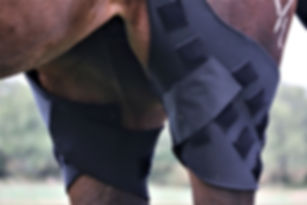 MagnaCu Stifle Wraps