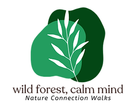 wild forest, calm mind logo